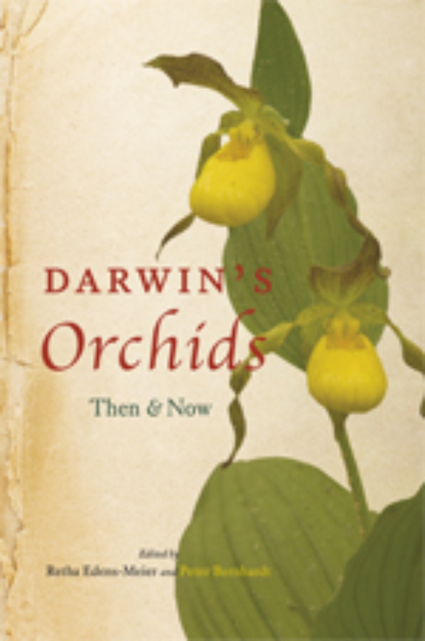 Darwin’s Orchids