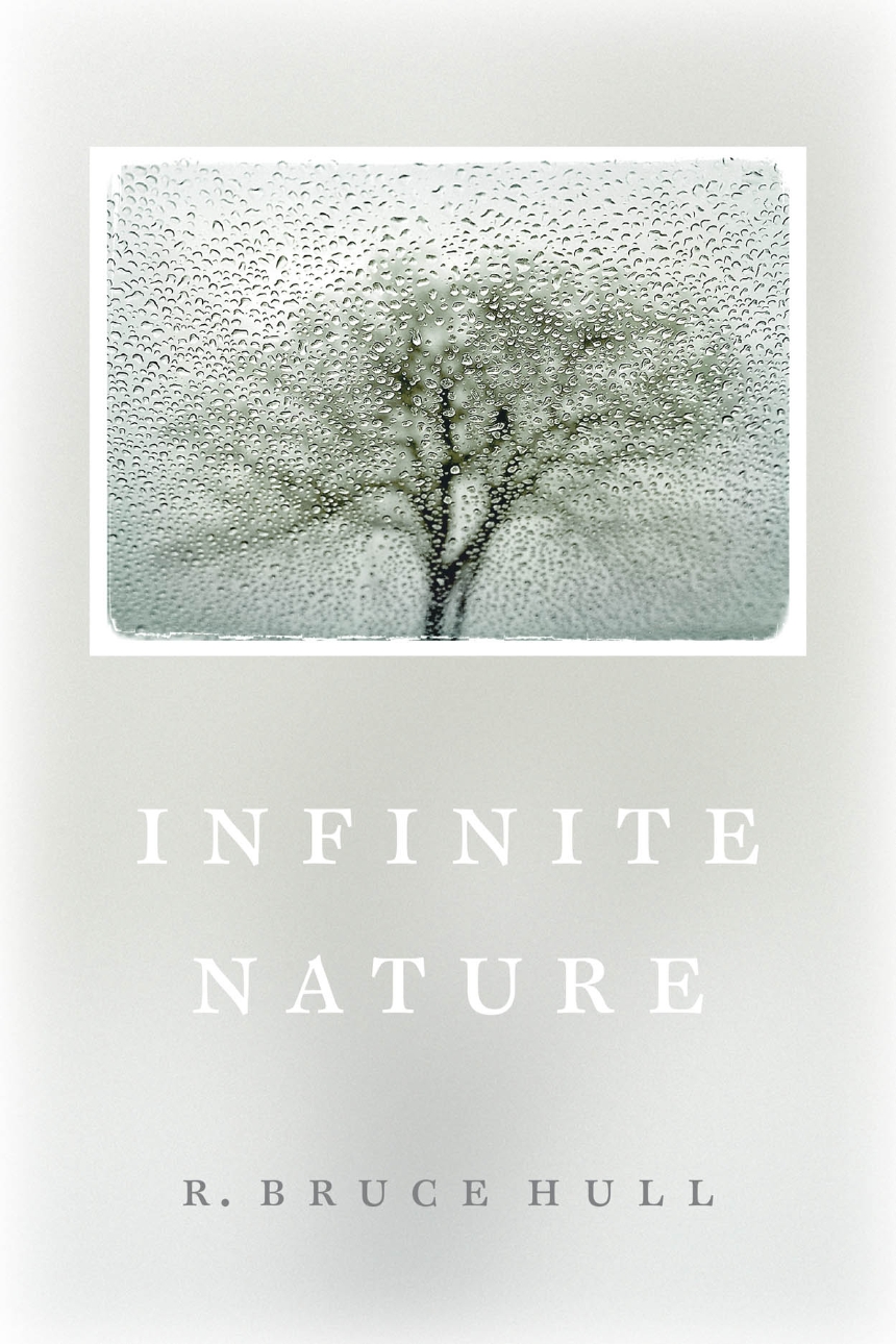 Infinite Nature