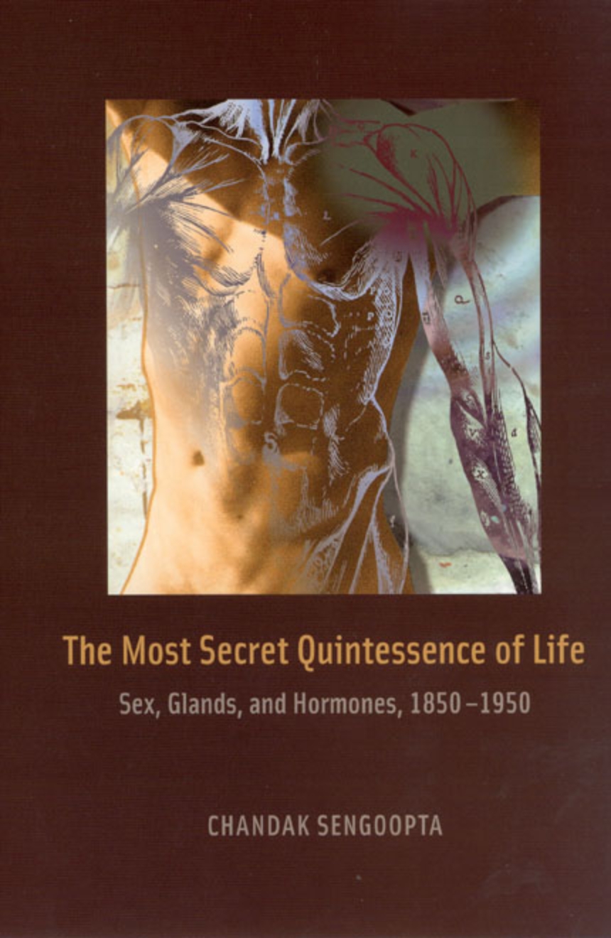 The Most Secret Quintessence of Life