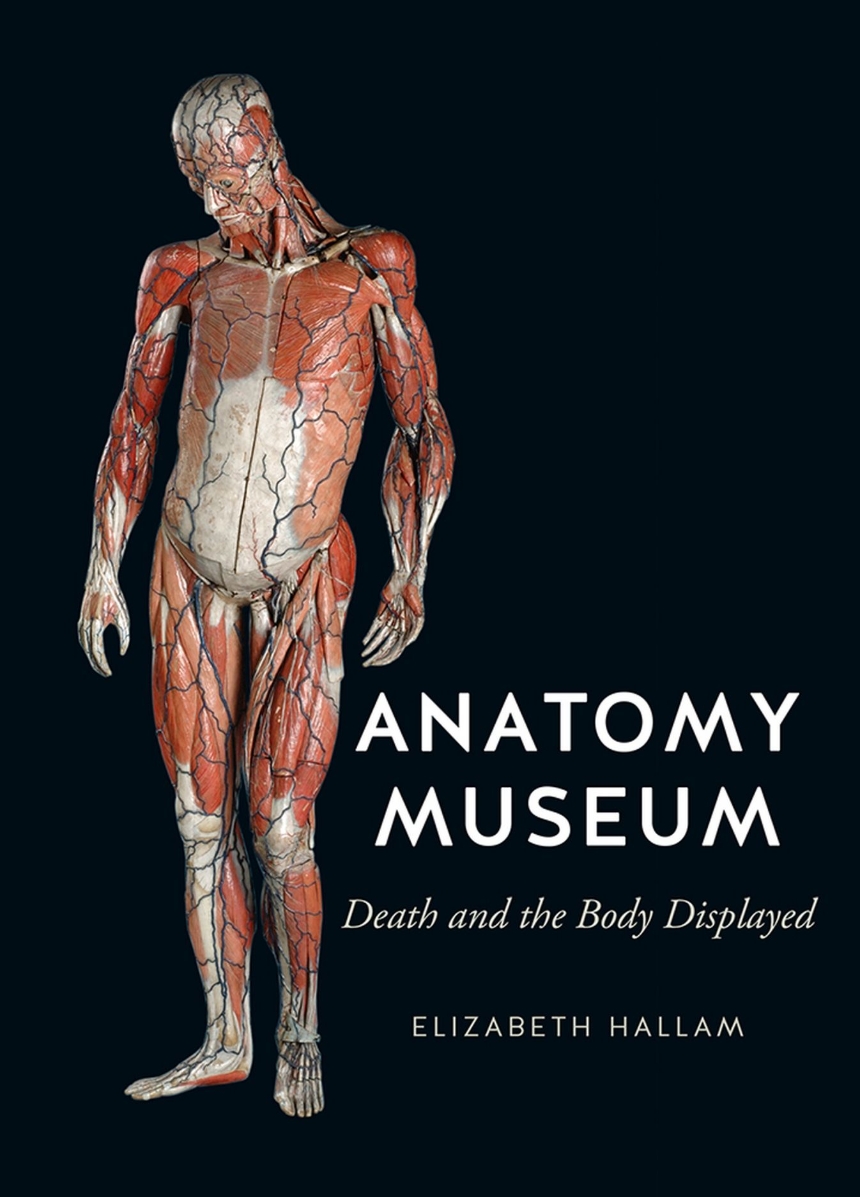 Anatomy Museum