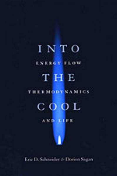 Into the Cool: Energy Flow, Thermodynamics, and Life