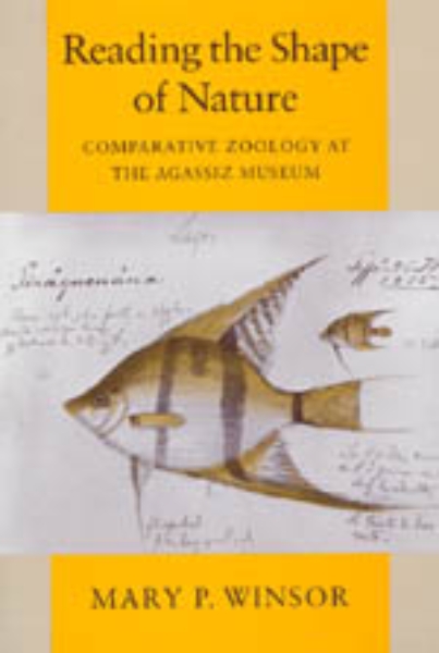 Reading the Shape of Nature: Comparative Zoology at the Agassiz Museum