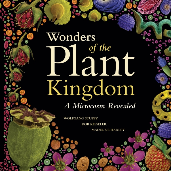 Wonders of the Plant Kingdom: A Microcosm Revealed