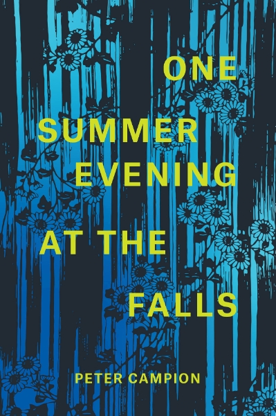 One Summer Evening at the Falls