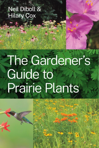 The Gardener’s Guide to Prairie Plants
