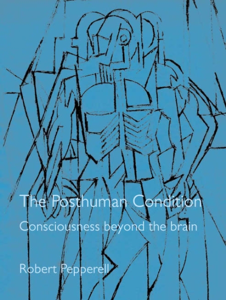 The Posthuman Condition: Consciousness Beyond the Brain