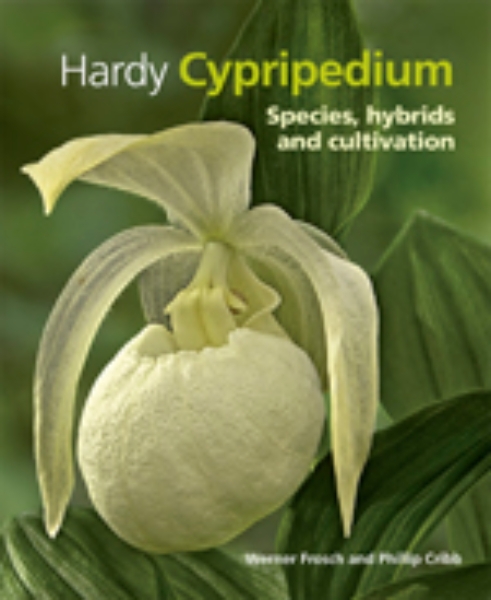 Hardy Cypripedium: Species, Hybrids and Cultivation