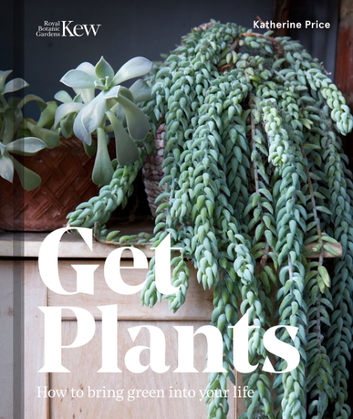 Get Plants: How to Bring Green Into Your Life