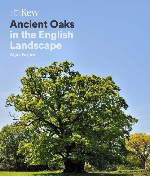 Ancient Oaks: In the English Landscape