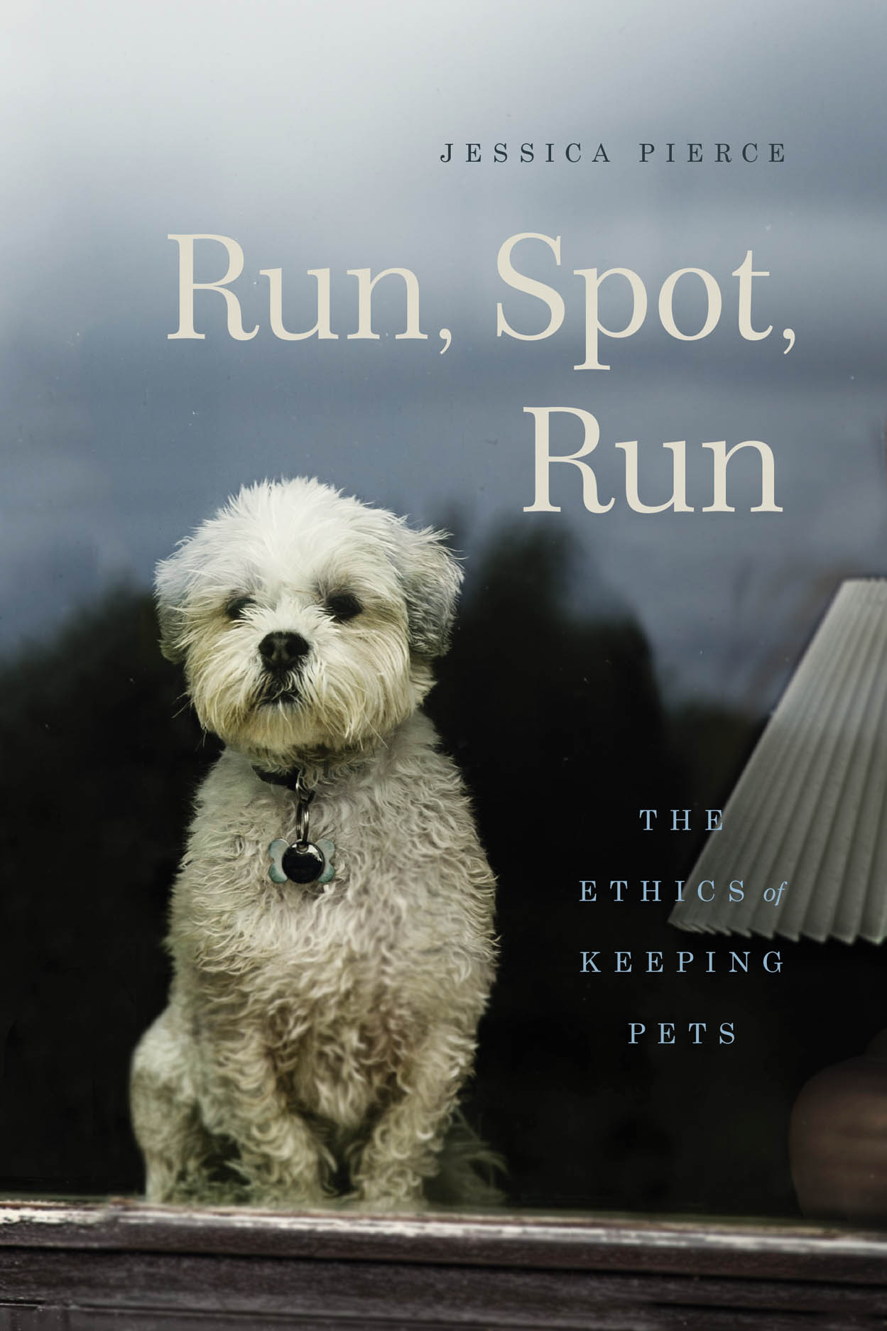 Cover image for Run, Spot, Run by Jessica Pierce