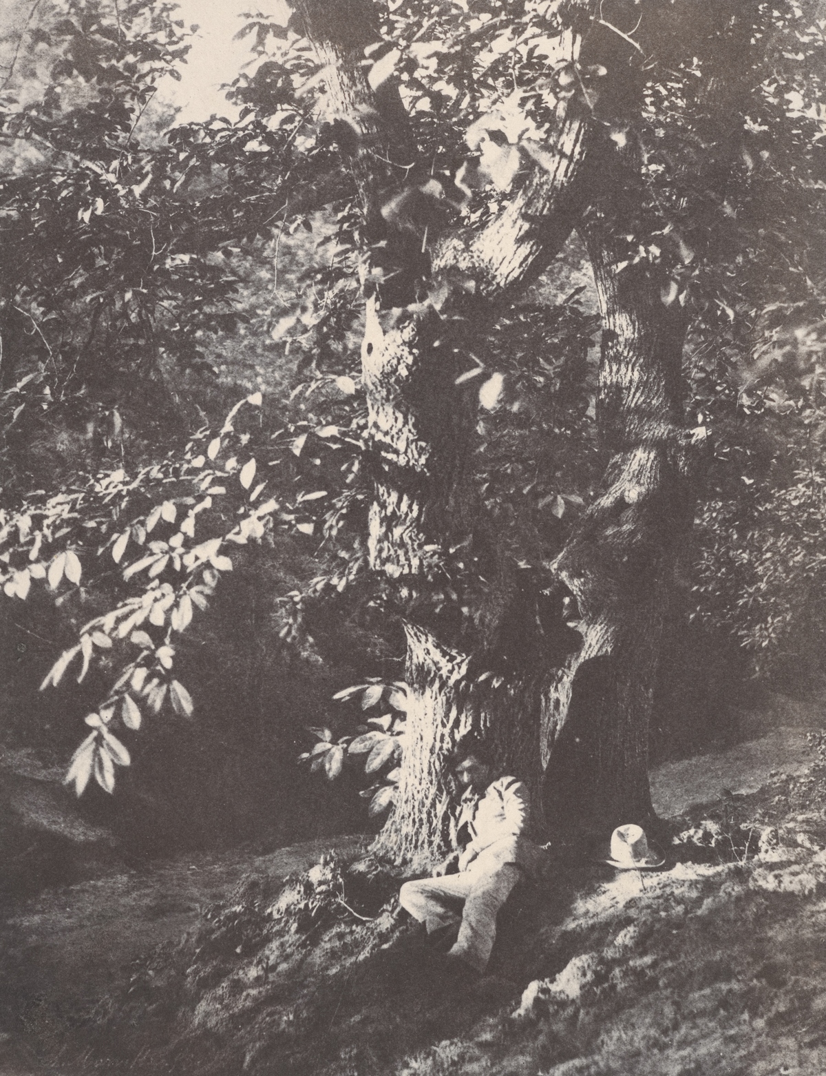 Man Reclining beneath a Chestnut Tree