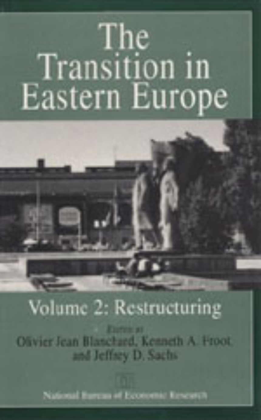 The Transition in Eastern Europe, Volume 2