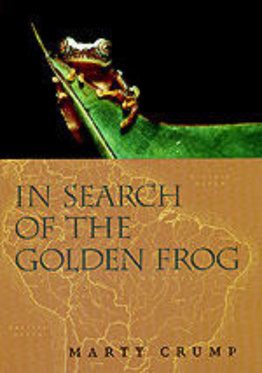 In Search of the Golden Frog