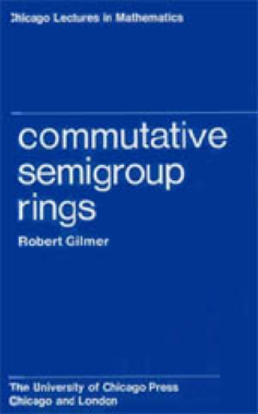 Commutative Semigroup Rings