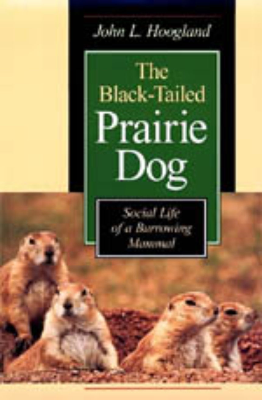 The Black-Tailed Prairie Dog