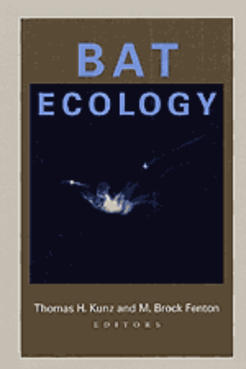 Bat Ecology