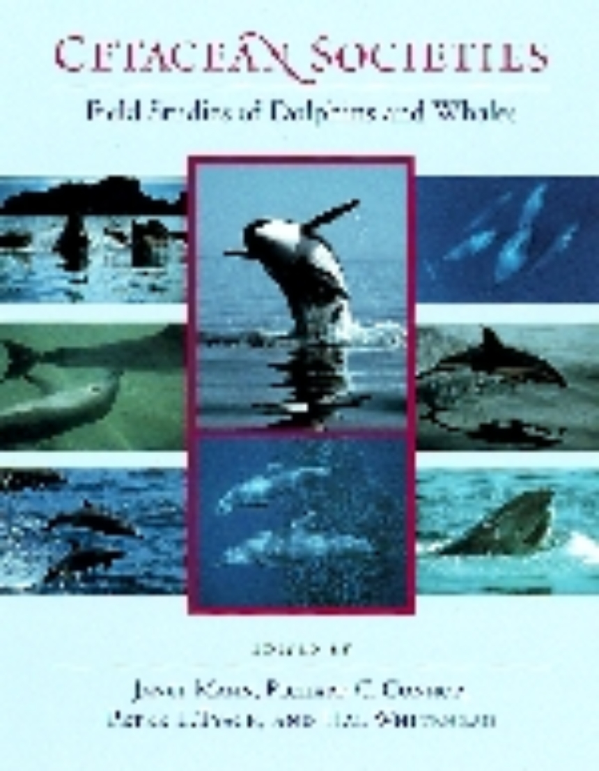 Cetacean Societies