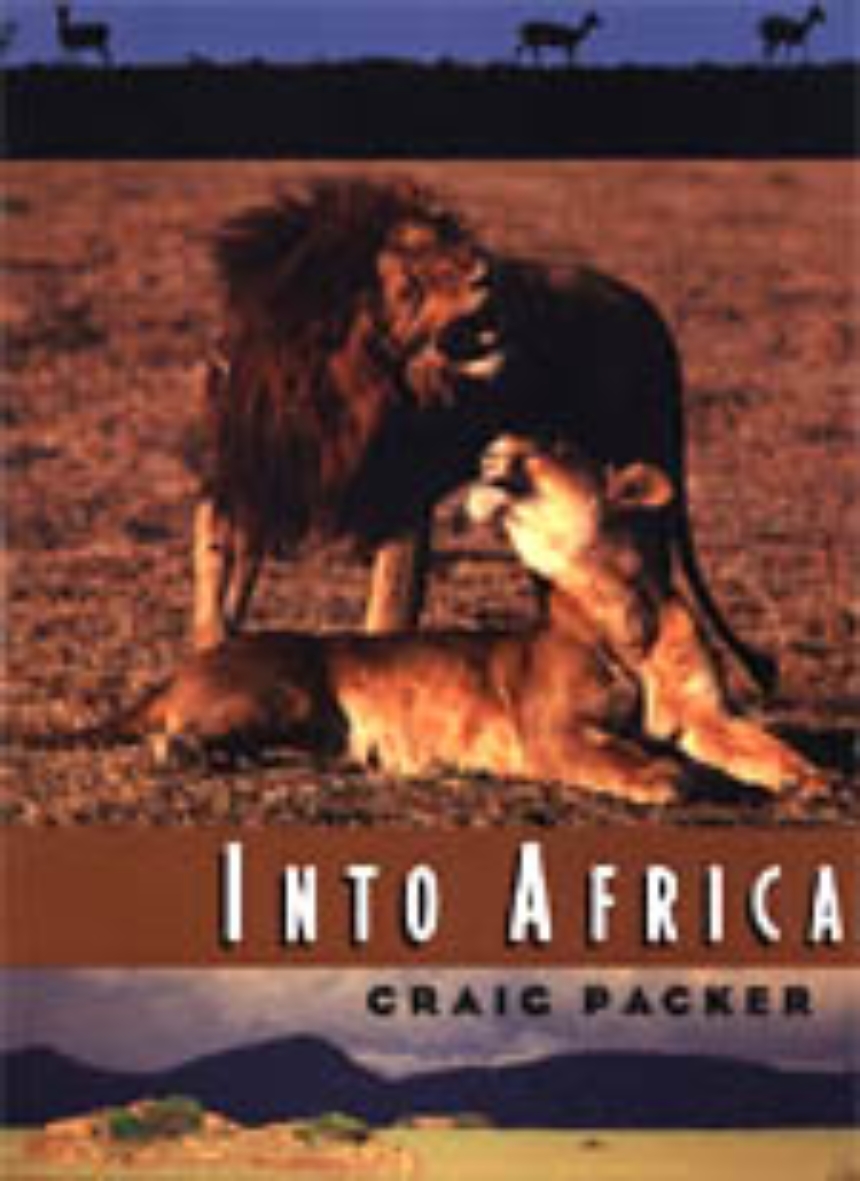 Into Africa