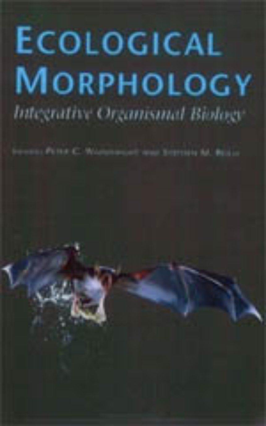 Ecological Morphology