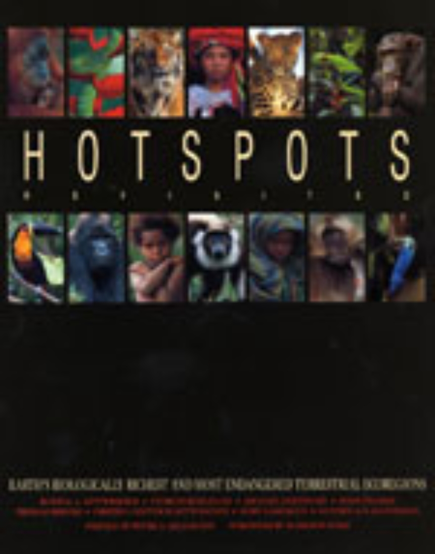 Hotspots Revisited