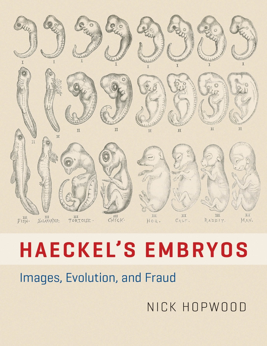 Haeckel’s Embryos