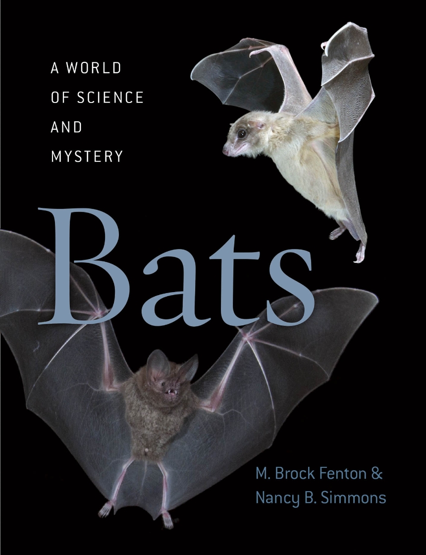 Bats