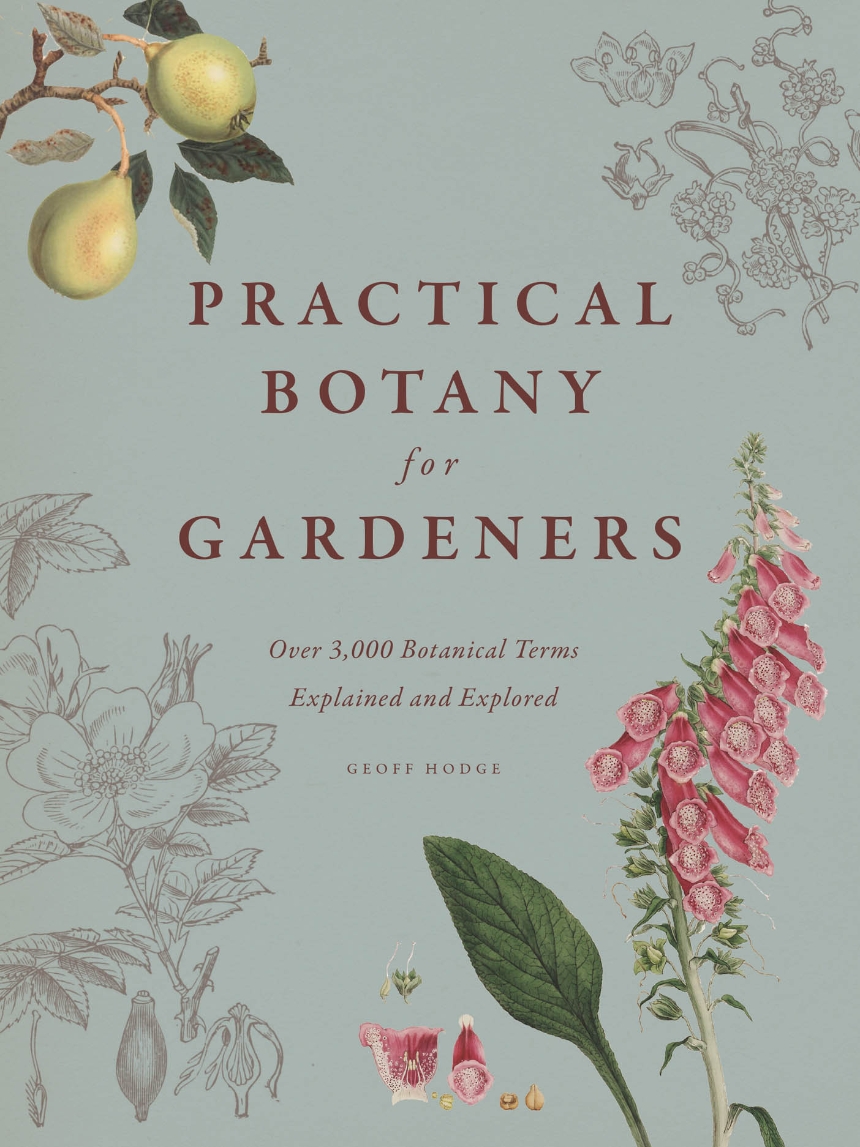 Practical Botany for Gardeners