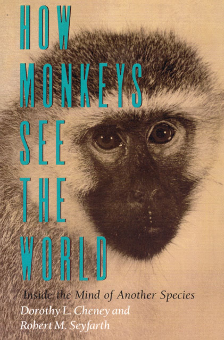 How Monkeys See the World