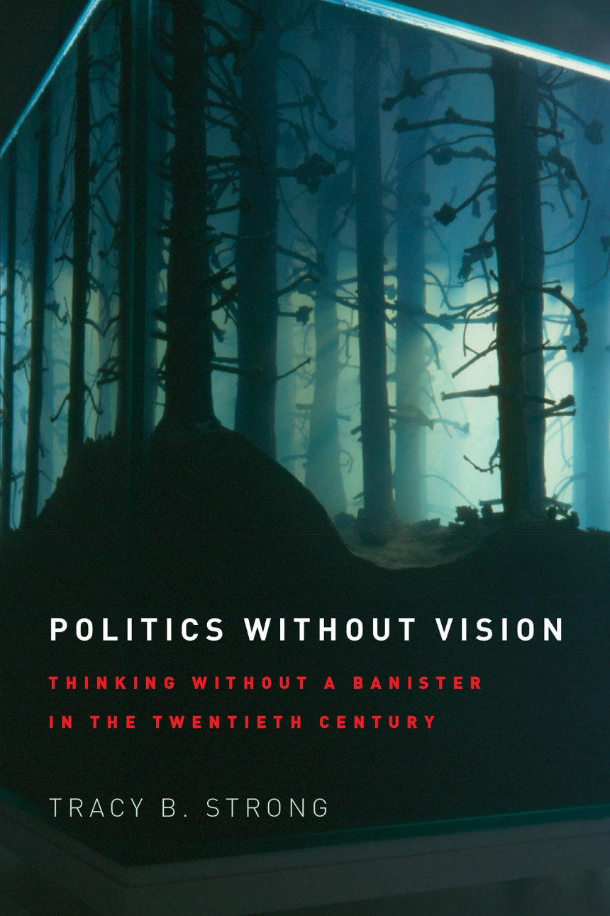 Politics without Vision