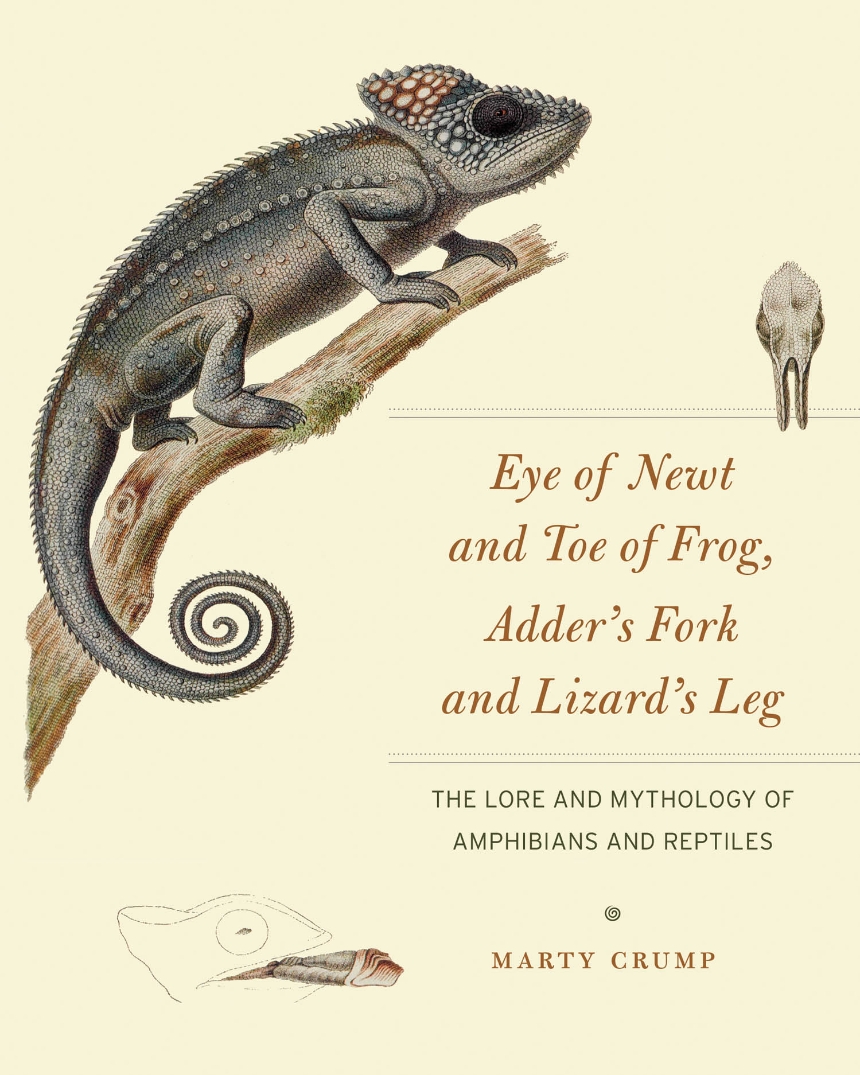 Eye of Newt and Toe of Frog, Adder’s Fork and Lizard’s Leg