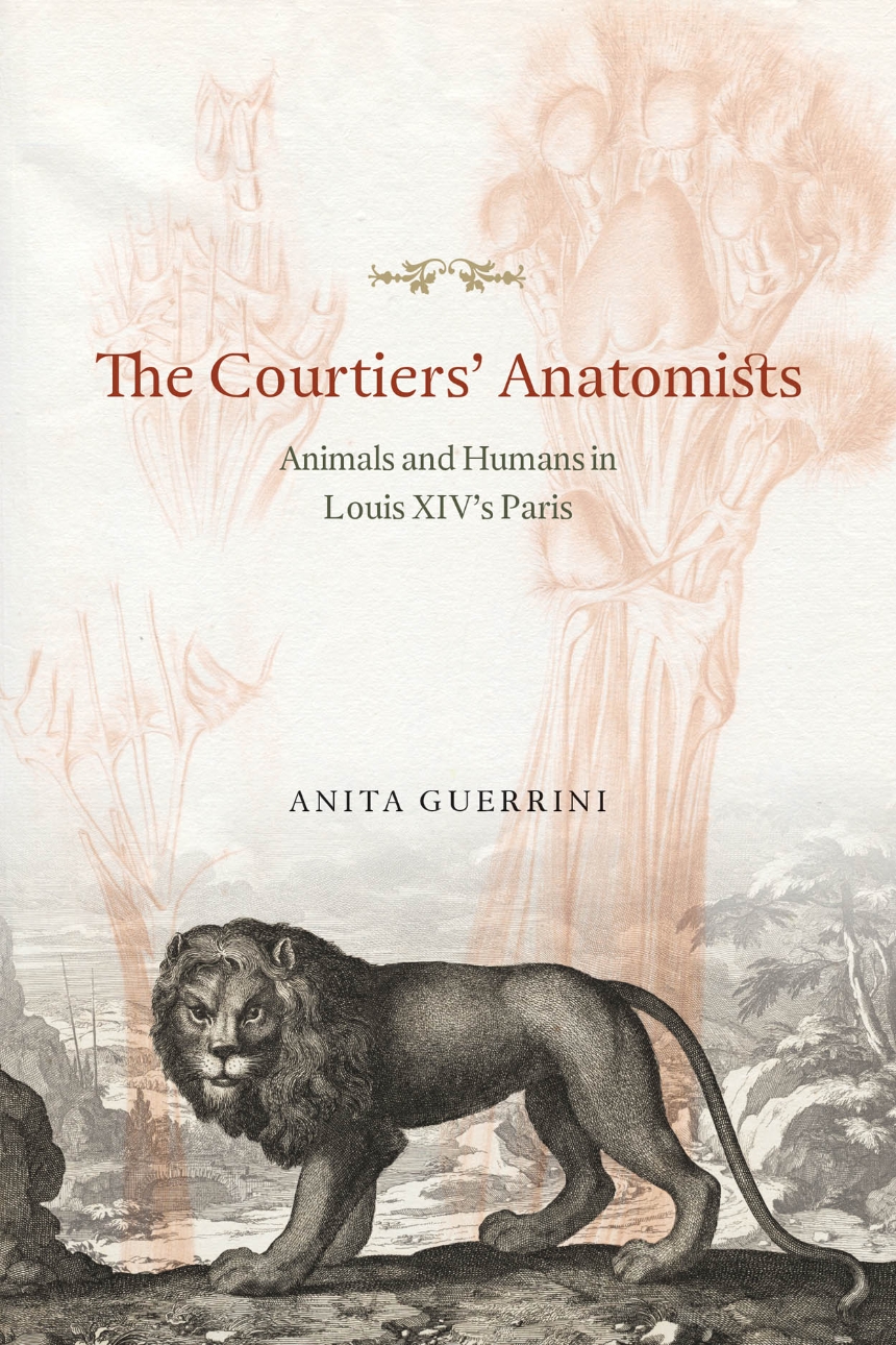 The Courtiers’ Anatomists