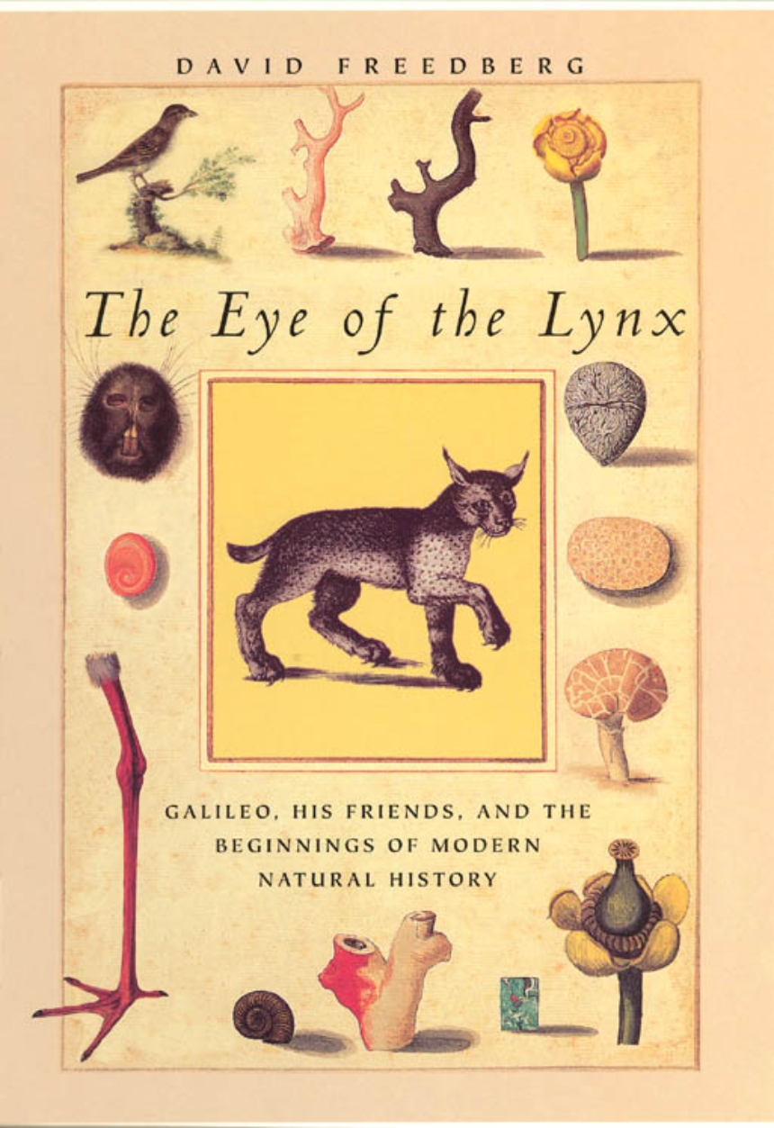 The Eye of the Lynx