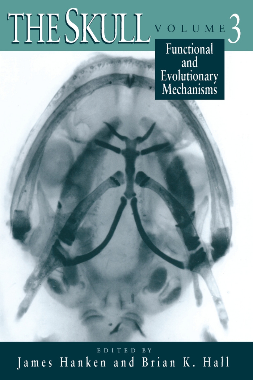 The Skull, Volume 3