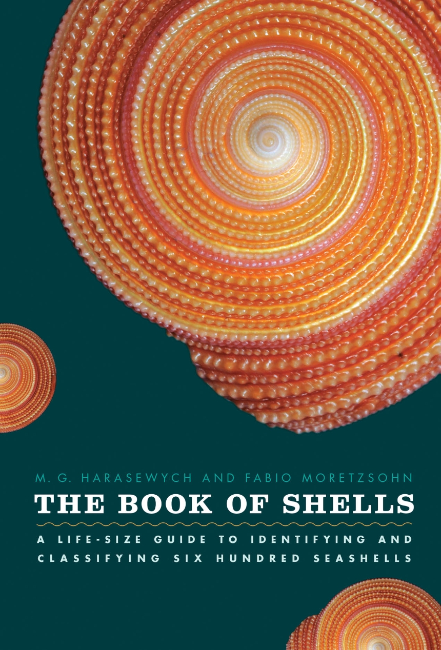 The Book of Shells