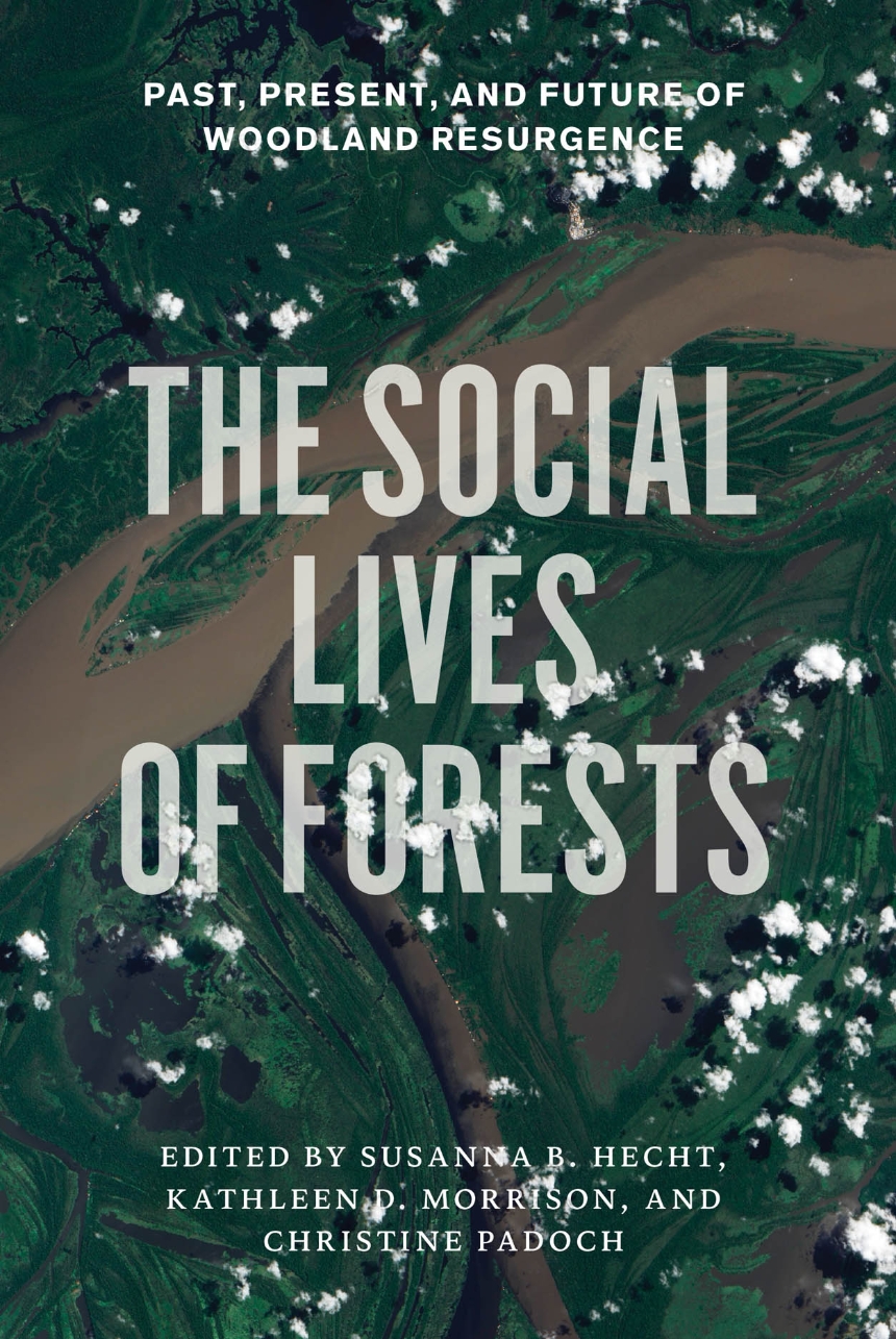The Social Lives of Forests