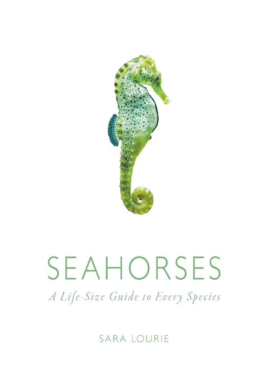 Seahorses