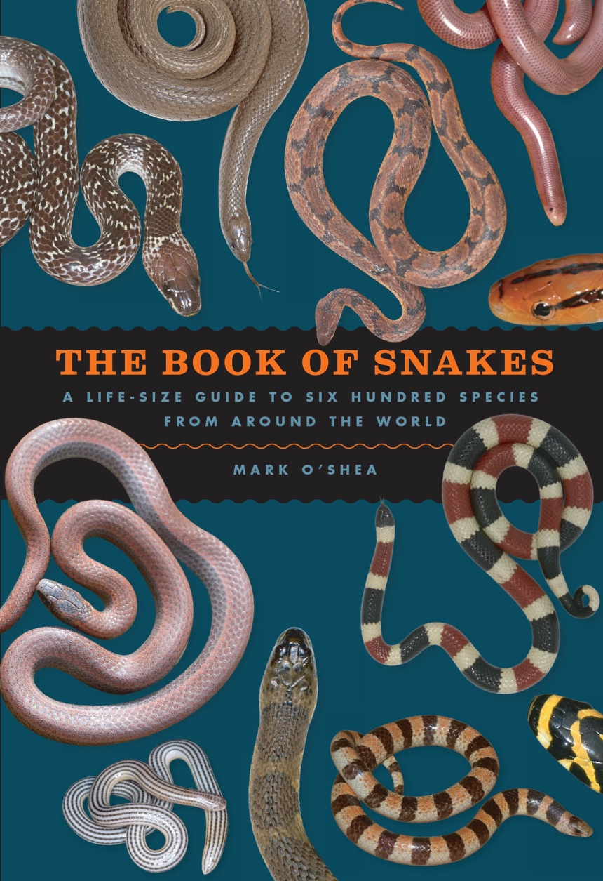 The Book of Snakes