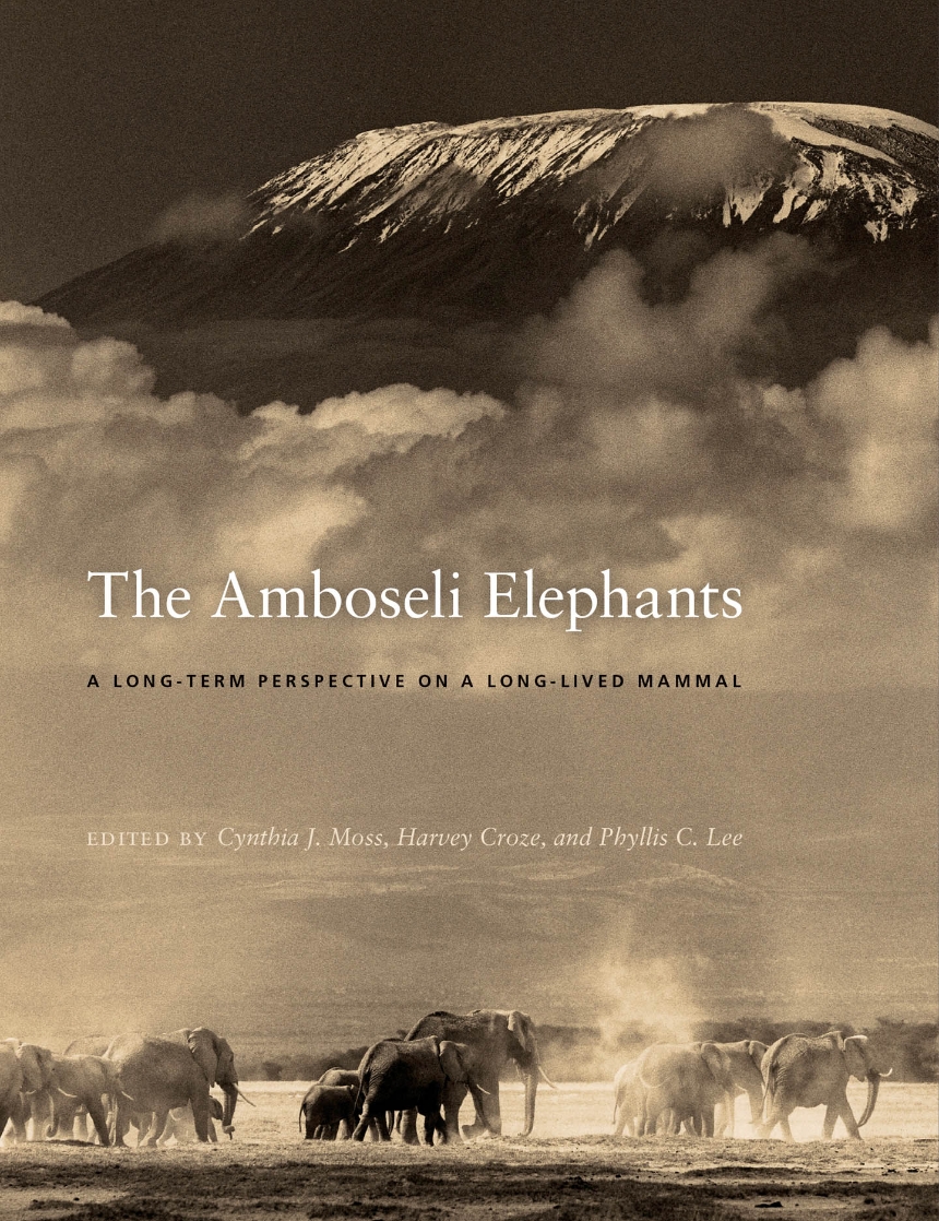 The Amboseli Elephants