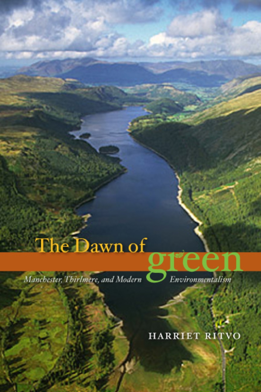 The Dawn of Green