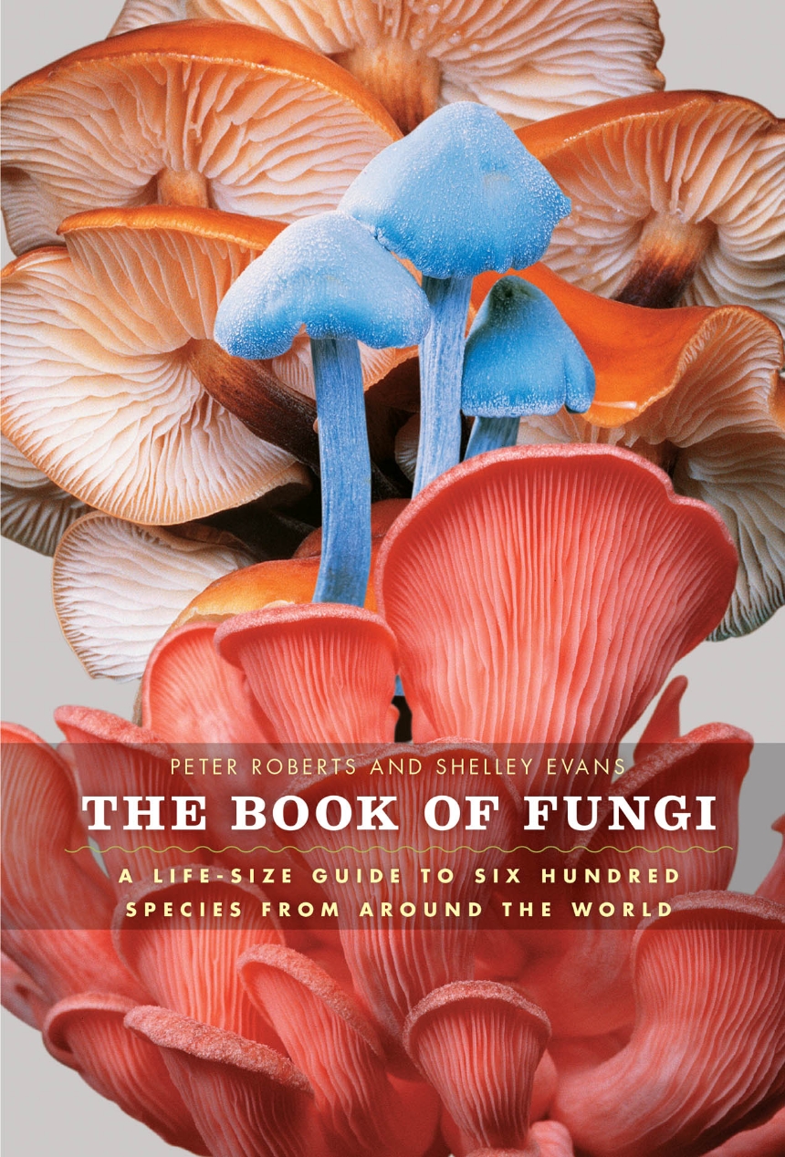 The Book of Fungi