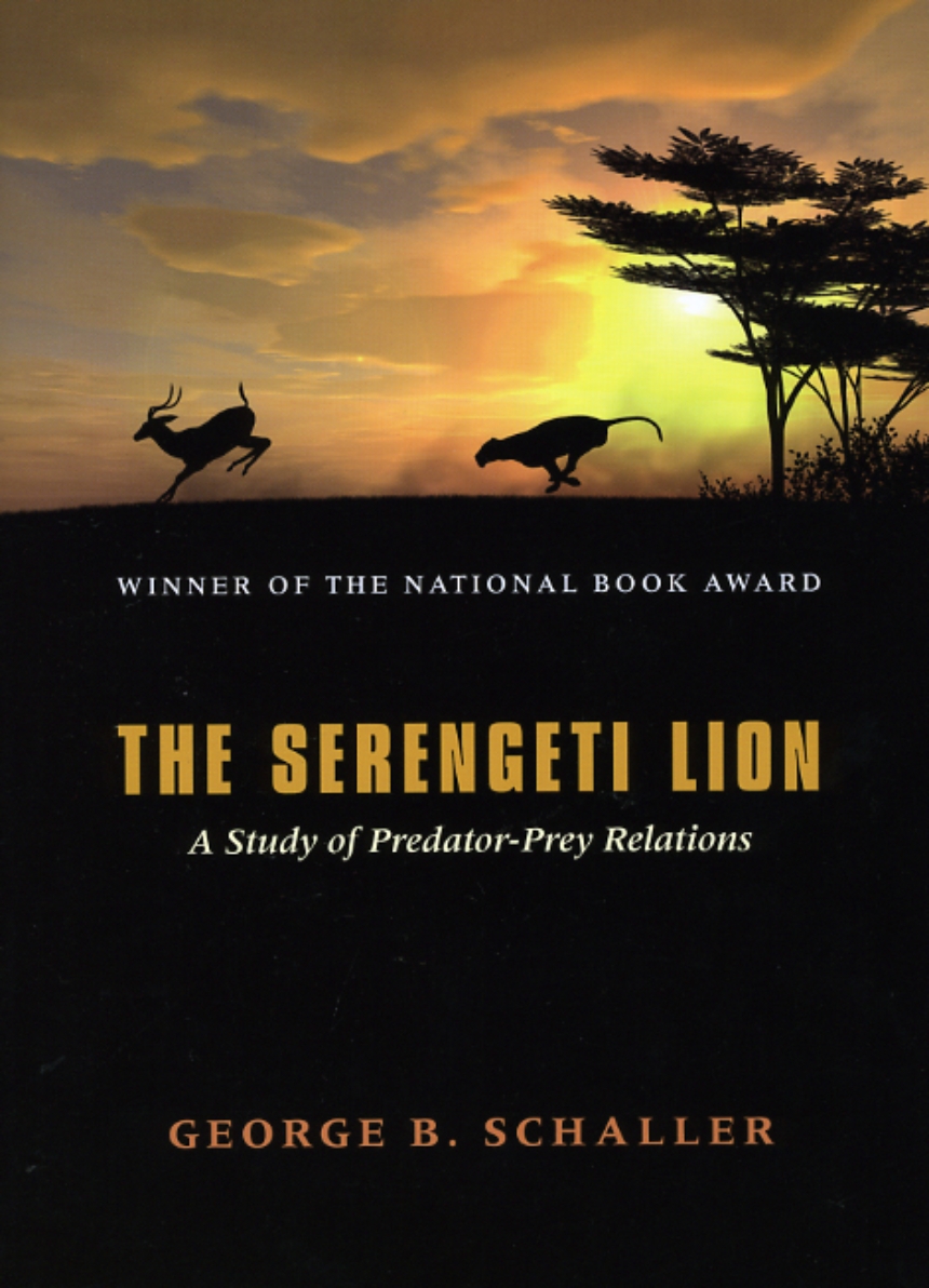 The Serengeti Lion