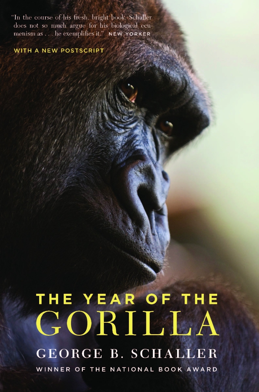 The Year of the Gorilla