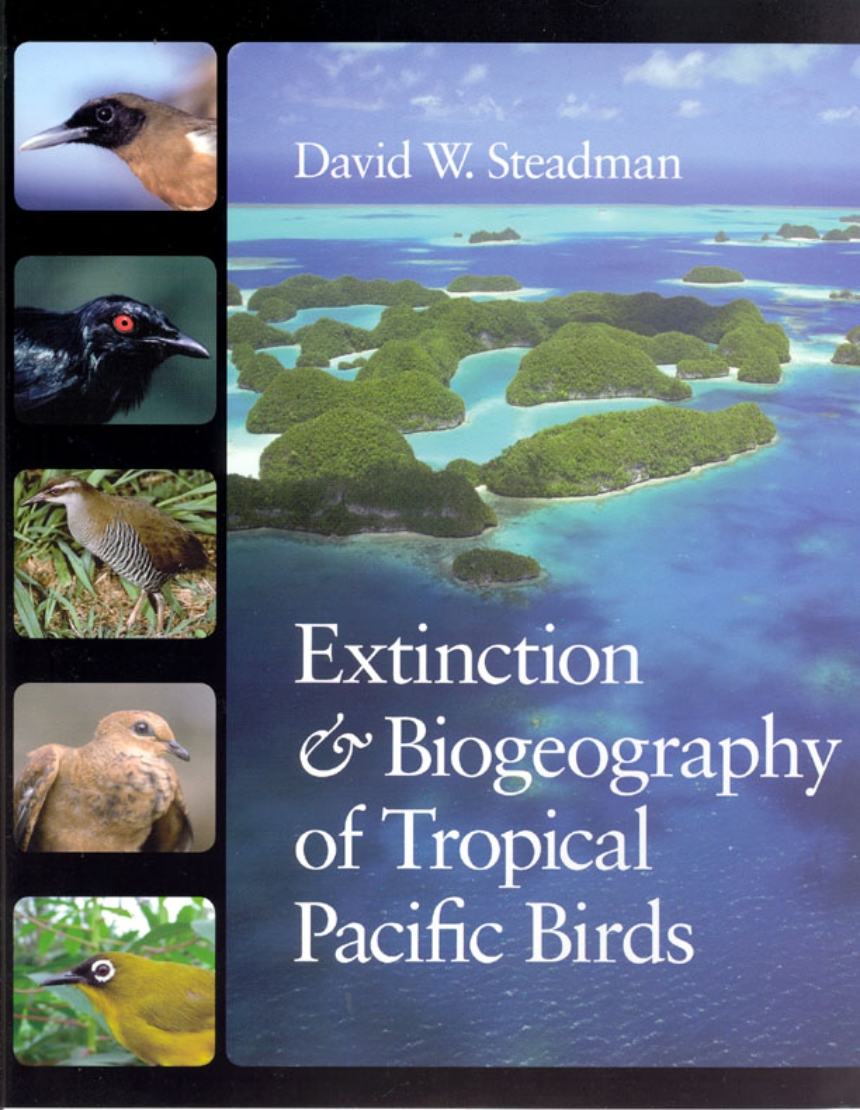 Extinction and Biogeography of Tropical Pacific Birds