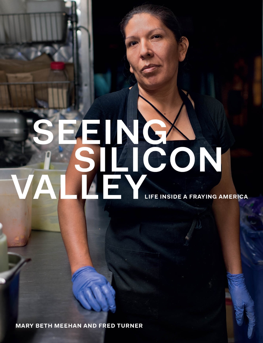 Seeing Silicon Valley