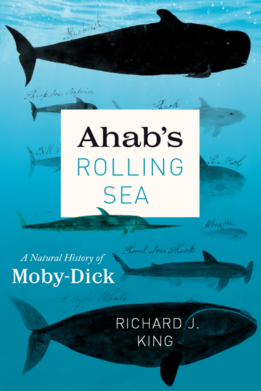 Ahab’s Rolling Sea