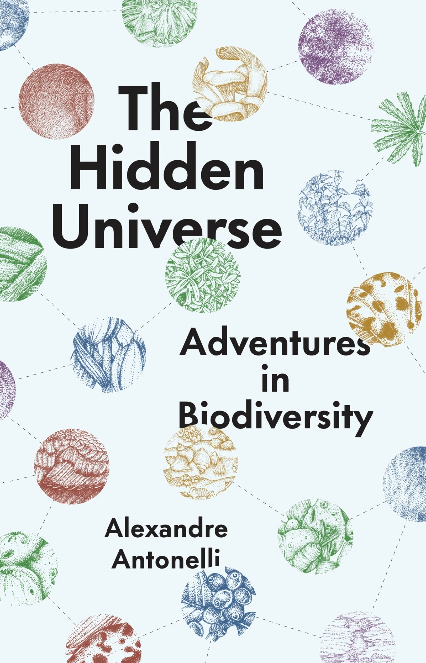 The Hidden Universe