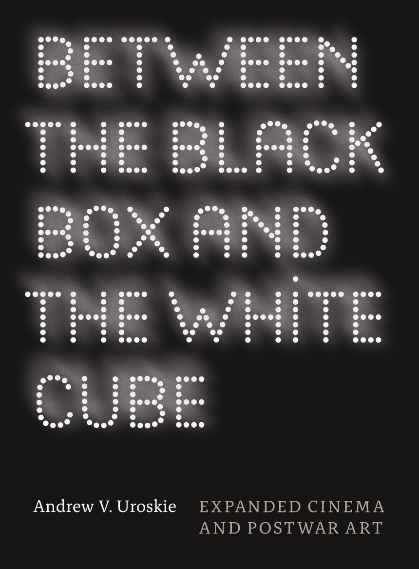 Between the Black Box and the White Cube
