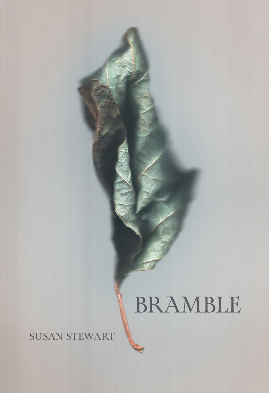 Bramble