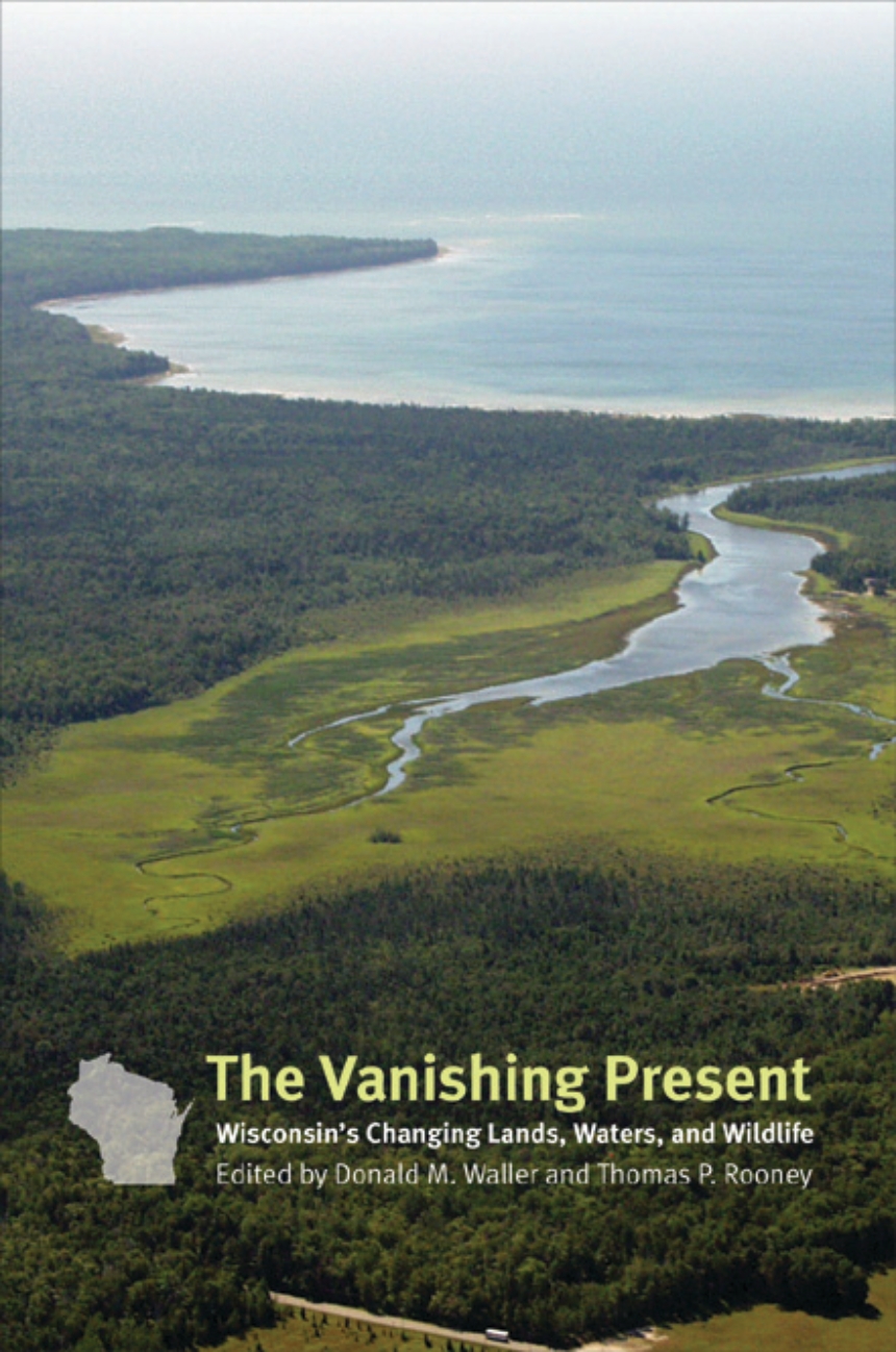 The Vanishing Present