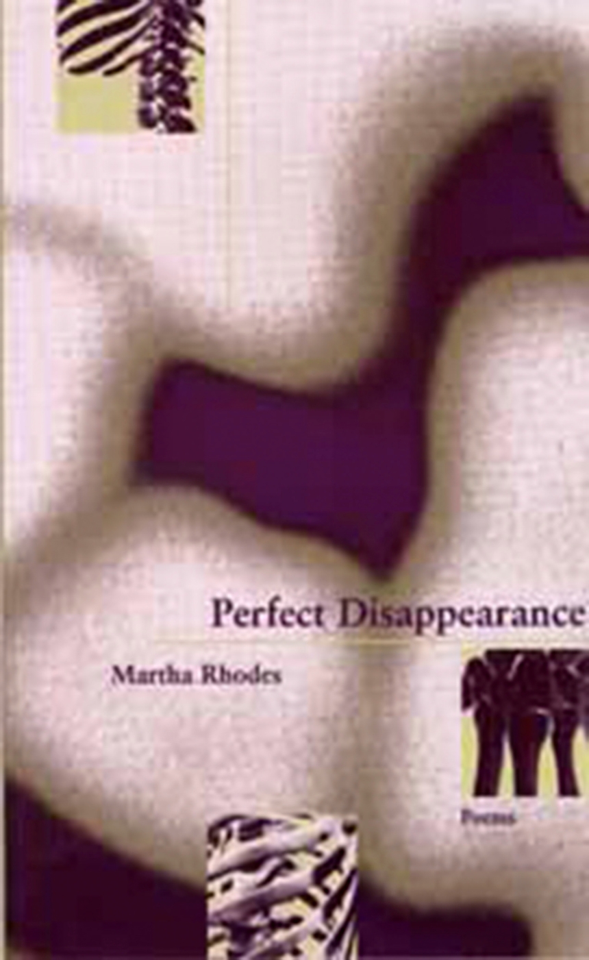 Perfect Disappearance